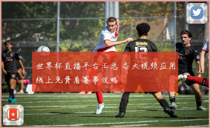 世界杯直播平台汇总 各大视频应用线上免费看赛事攻略